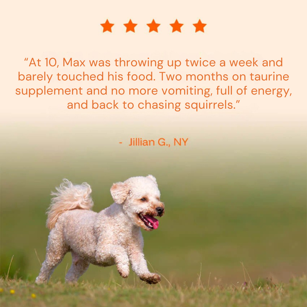 Pure Taurine Supplement