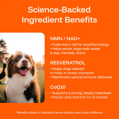 Woofsupps™ Daily Longevity Drops