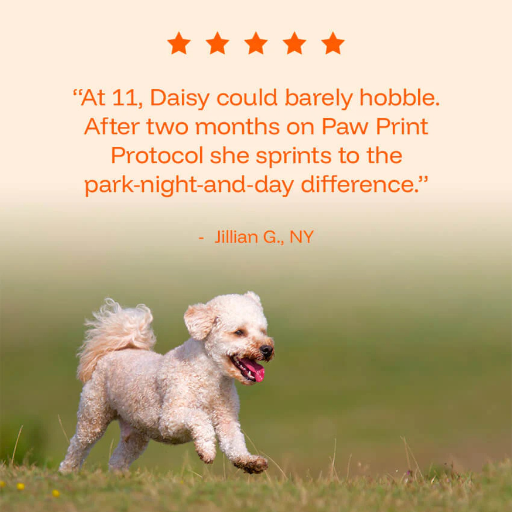 Woofsupps™ Daily Longevity Drops