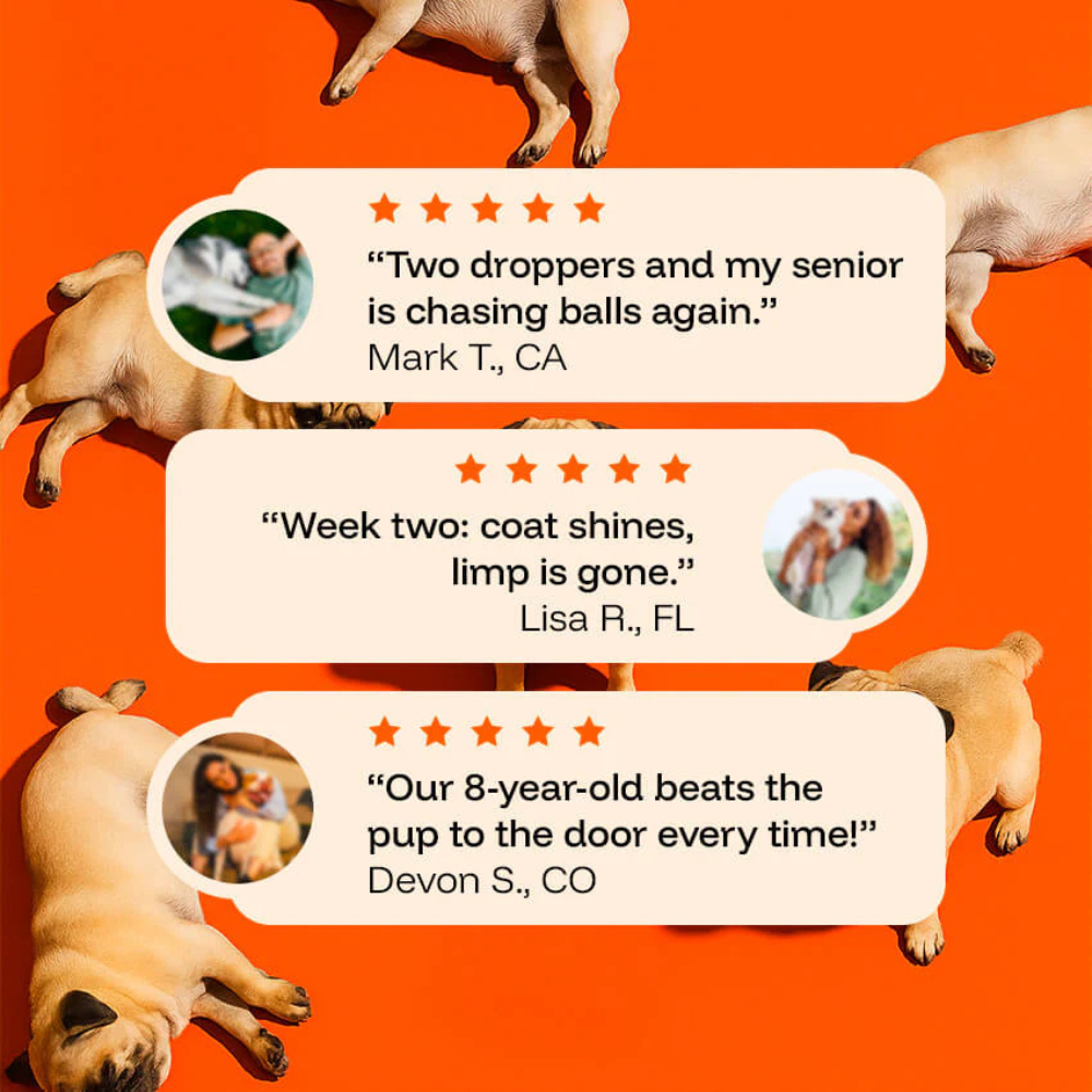 Woofsupps™ Daily Longevity Drops