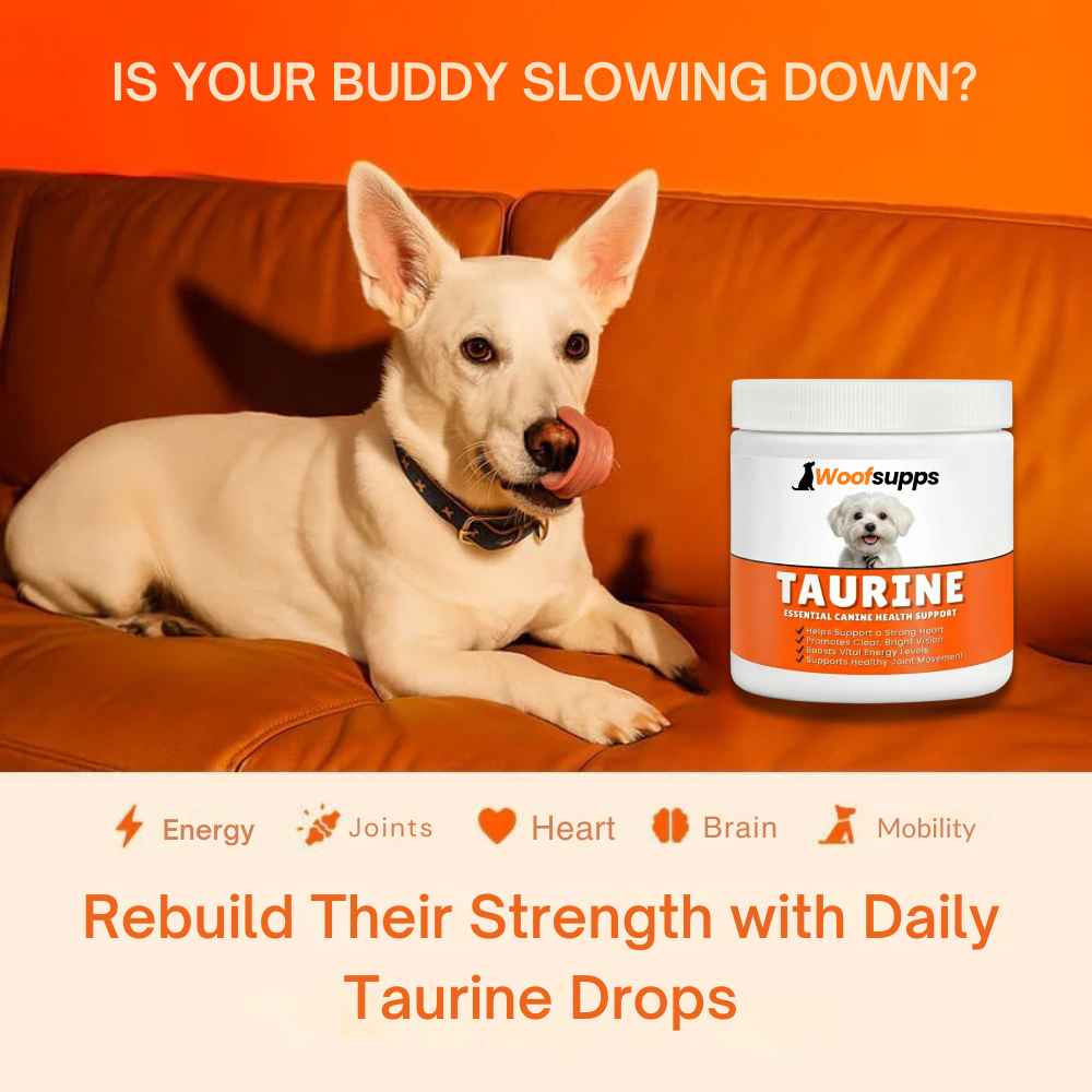 Pure Taurine Supplement