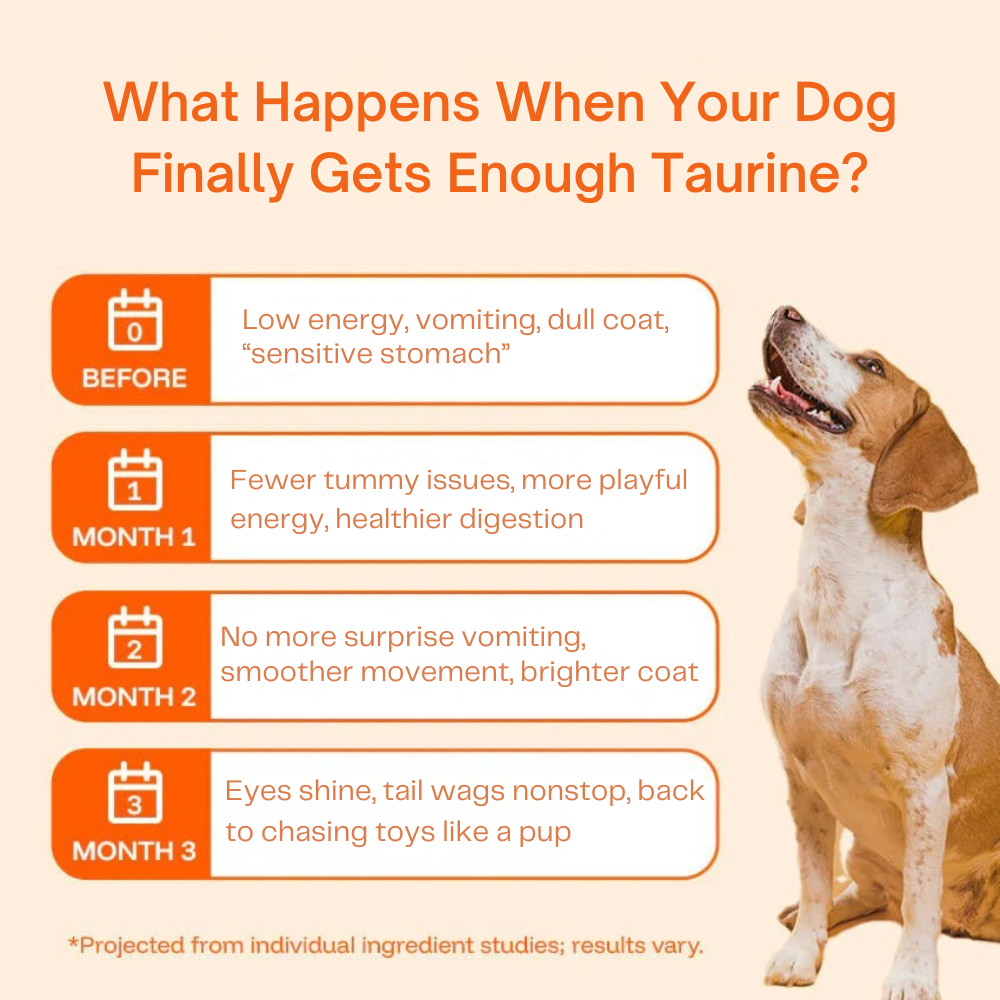 Pure Taurine Supplement