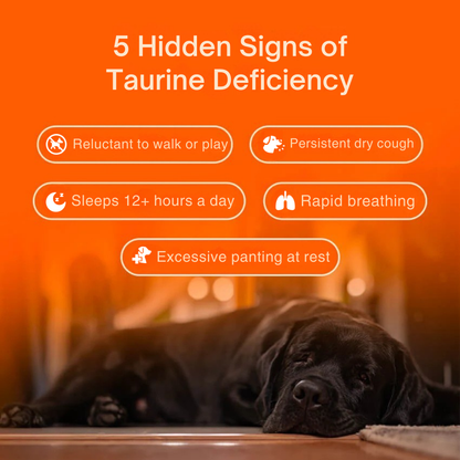 Pure Taurine Supplement