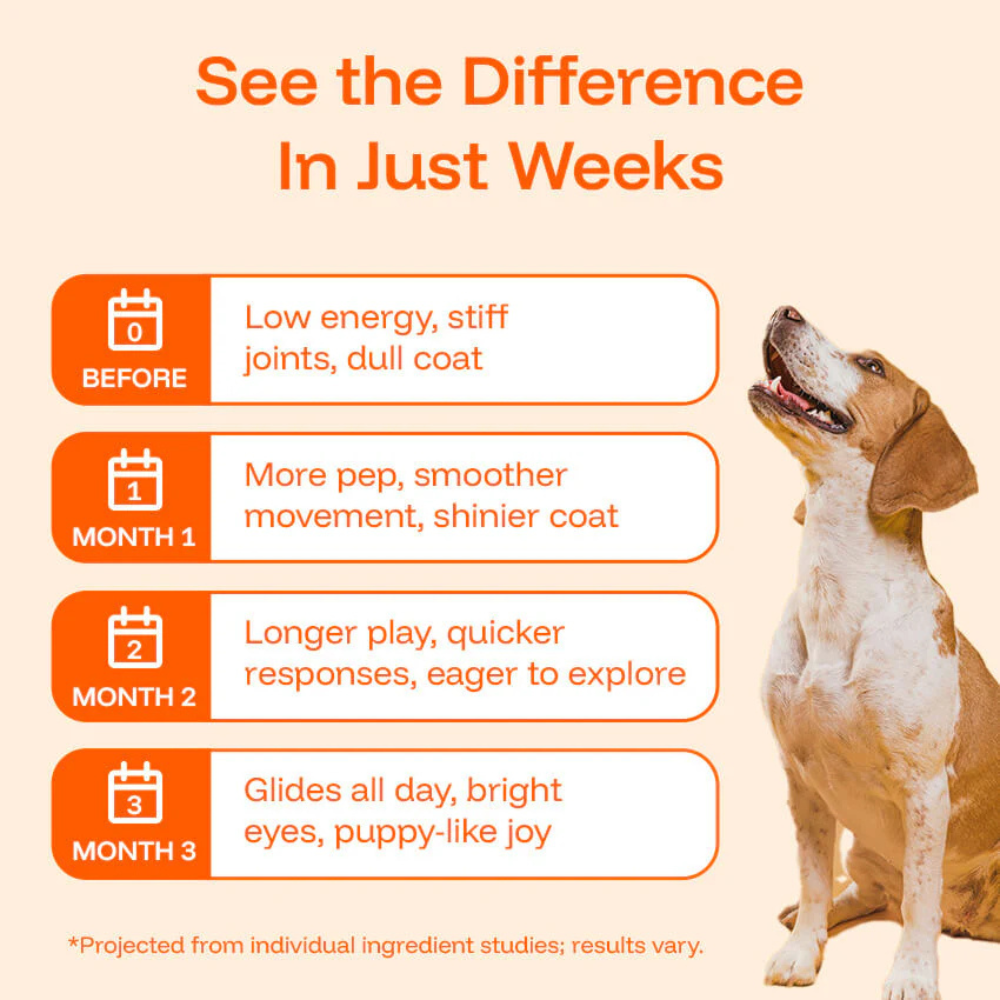 Woofsupps™ Daily Longevity Drops