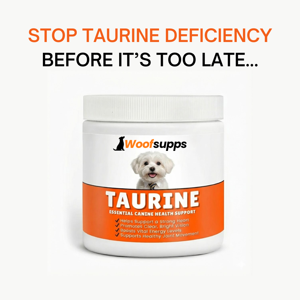 Pure Taurine Supplement